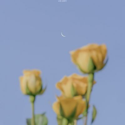 万博全站ManBetX4.79下载下载手机版