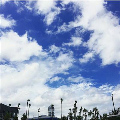 华体会登录手机版